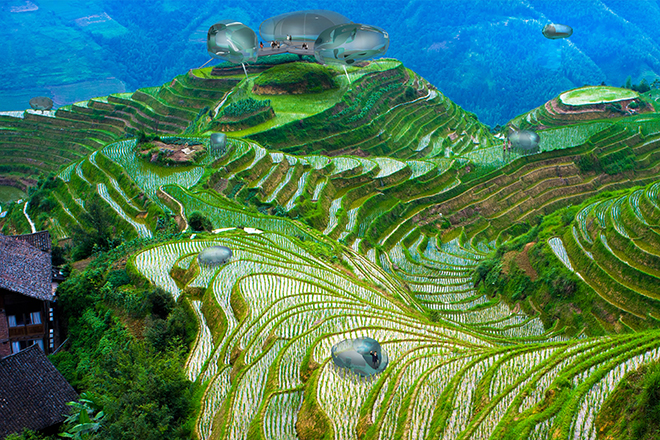 Radical Innovation finalists announced