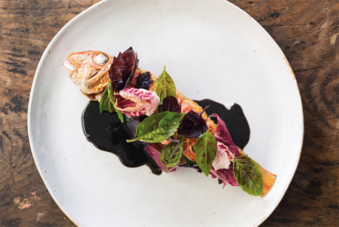 Perilla set to launch in Newington Green