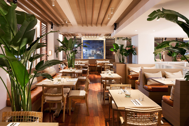 Tommy bahama restaurant sales manhattan