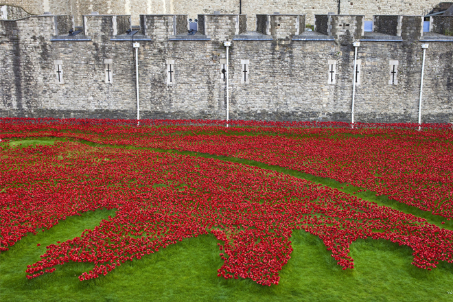 Johnson Tiles proud to be part of poignant Tower of London installation
