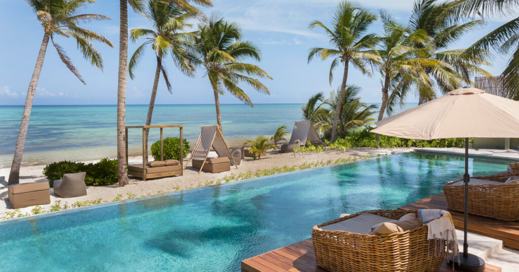 Opening Shots – January 2024