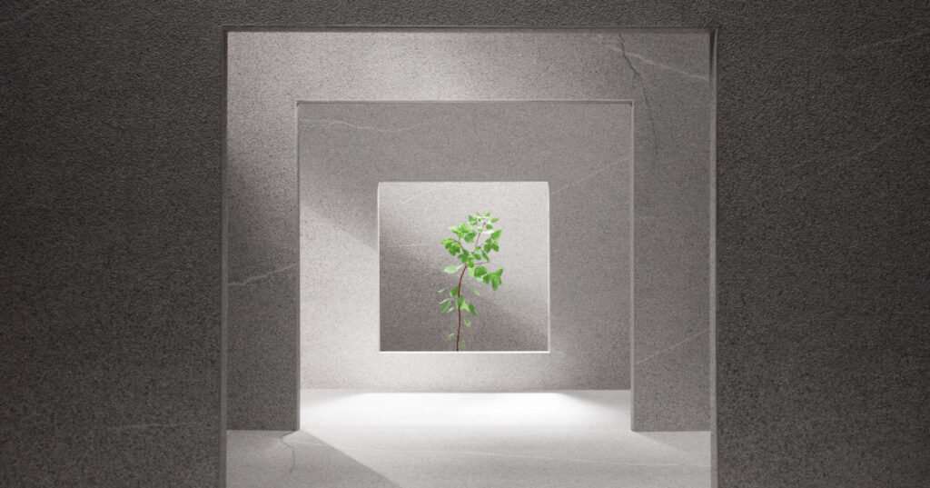 CLEAF luxury décors: Made in Milan, loved by designers and supplied exclusively in the UK and Ireland by James Latham.